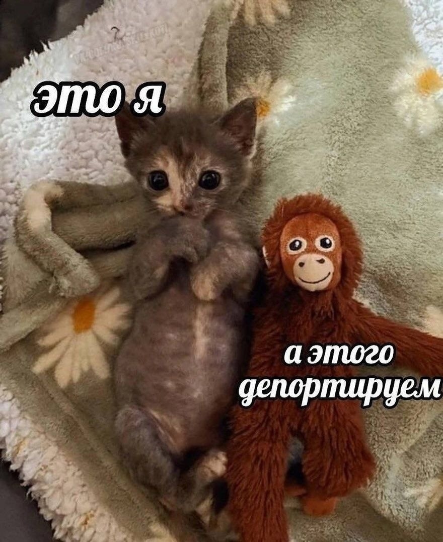 Добро пожаловать!